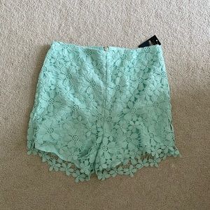 Hollister never worn shorts